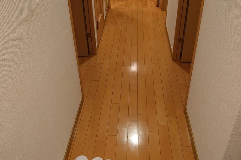 【施工前(Before)】