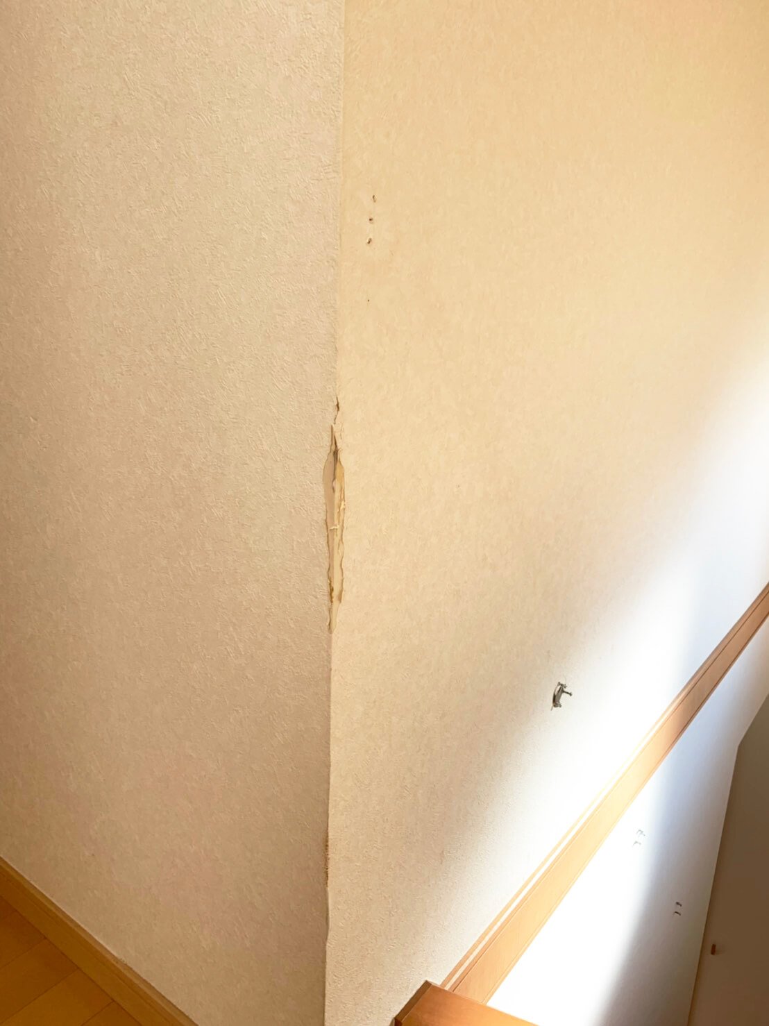 【施工前(Before)】